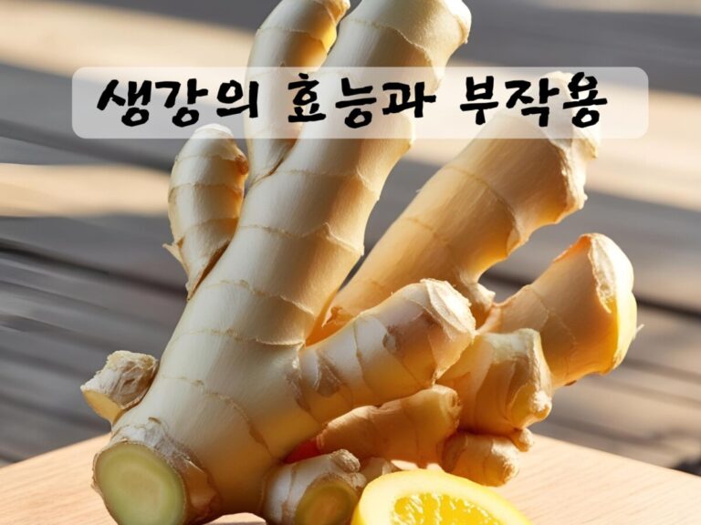 생강의 효능과 부작용